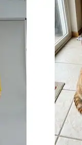 The photo used for this example: a woman in a yellow sweater in a studio, and a ginger cat on a tiled floor